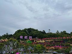 -枇杷园食为鲜火锅(南山店)