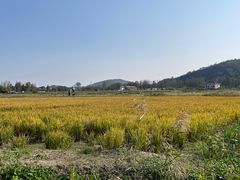 -南北湖风景区
