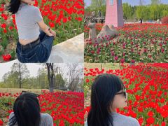 -祥源·阜阳生态乐园