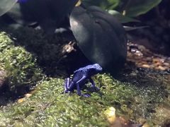 -暹罗海洋世界
