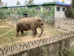 -西安秦岭野生动物园