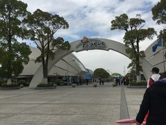 -上海鲜花港