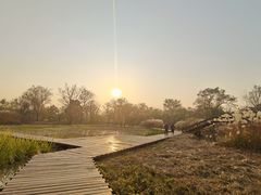 -西溪国家湿地公园