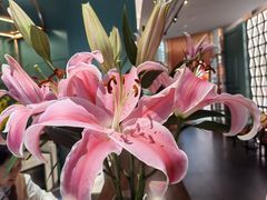 -南堂馆·新川菜(春熙路店)