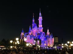 -上海迪士尼度假区