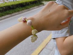 -熙盛源(凤凰街店)