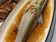-全聚德(上海首店浦东店)