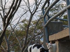 -鸿山公园