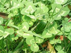 外景-河南省黄河迎宾馆