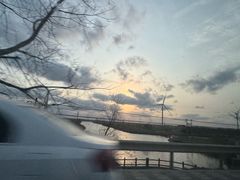 -盐城丹顶鹤湿地生态旅游区