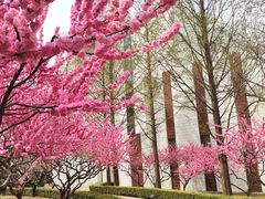-北京理工大学(中关村校区)