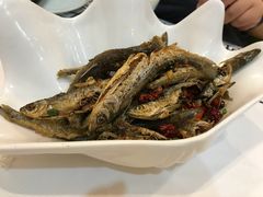 湖北野生小河鱼-丹江口渔村·湘味厨房(桃园店)