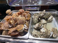 -碧中海汤泉汗蒸酒店