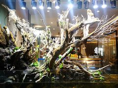 -甄花精致料理自助(城市阳台店)