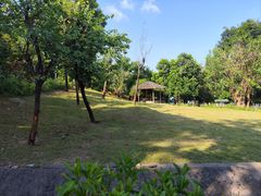 -深圳野生动物园