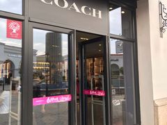 -COACH蔻驰(百联奥特莱斯广场店)