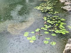 -青岛鑫江温德姆酒店