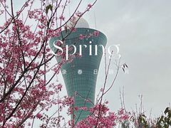 -狐尾山公园