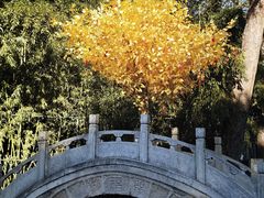 -红螺寺