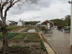 -源香农宝·亲子采摘·钓虾·科普研学