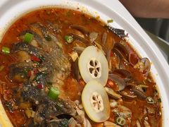 -青花椒花椒鱼(合生汇店)