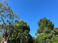 -墨尔本皇家植物园