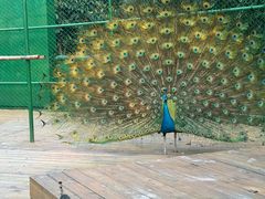 -香宫中餐厅 · 桂林香格里拉