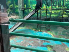 -宁波野生动物园