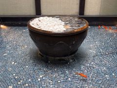 -曲水兰亭(北京四惠店)