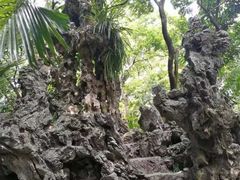 -广州兰圃