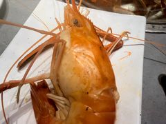 -奔海甄选·活鲜刺身铁板烧自助(太原里店)