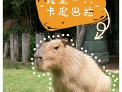 -珠海长隆海洋王国