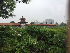 -曹州百花园