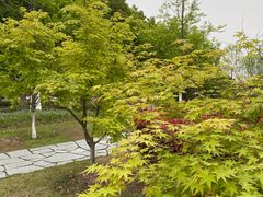 -白塘生态植物园