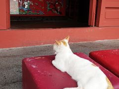 -南沙天后宫景区