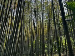 -南山风景名胜区