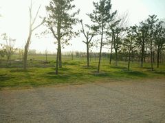 -汉长安城未央宫国家考古遗址公园