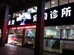 -瑞派天使宠物医院·神经外科·骨科·核磁(洛川中路店)