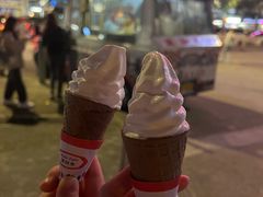 -富豪雪糕车流动点(尖沙咀店)