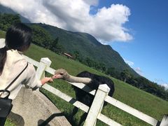 -瑞穗牧场