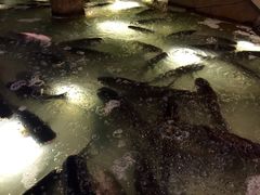 -阿斯牛牛·凉山菜(新会展店)