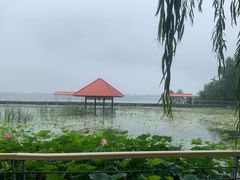 -青龙湖公园