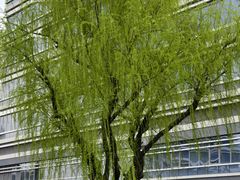 -外高桥保税区南(地铁站)