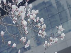 -西湖文化广场