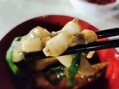 -越海渔村