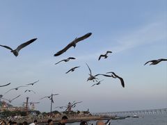 -星海广场