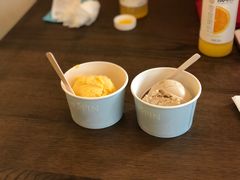 冰淇淋单球-1868 Café(上海自然博物馆店)