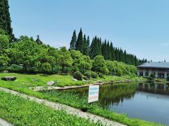 -金岛生态园烧烤露营地
