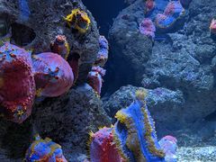 -成都浩海立方海洋公园