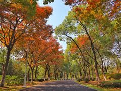 -白塘生态植物园